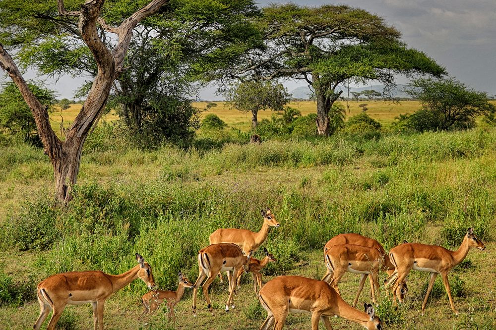 Photograph by Наталья Суслова