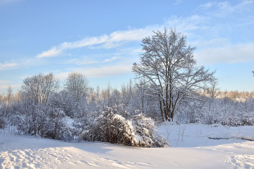 Зимний день.