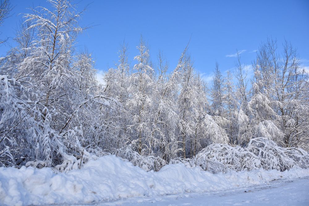 Photograph by Дмитрий Петров
