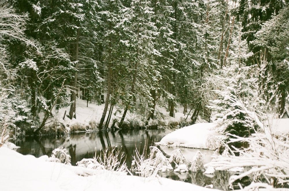 Photograph by Василий Селиванов