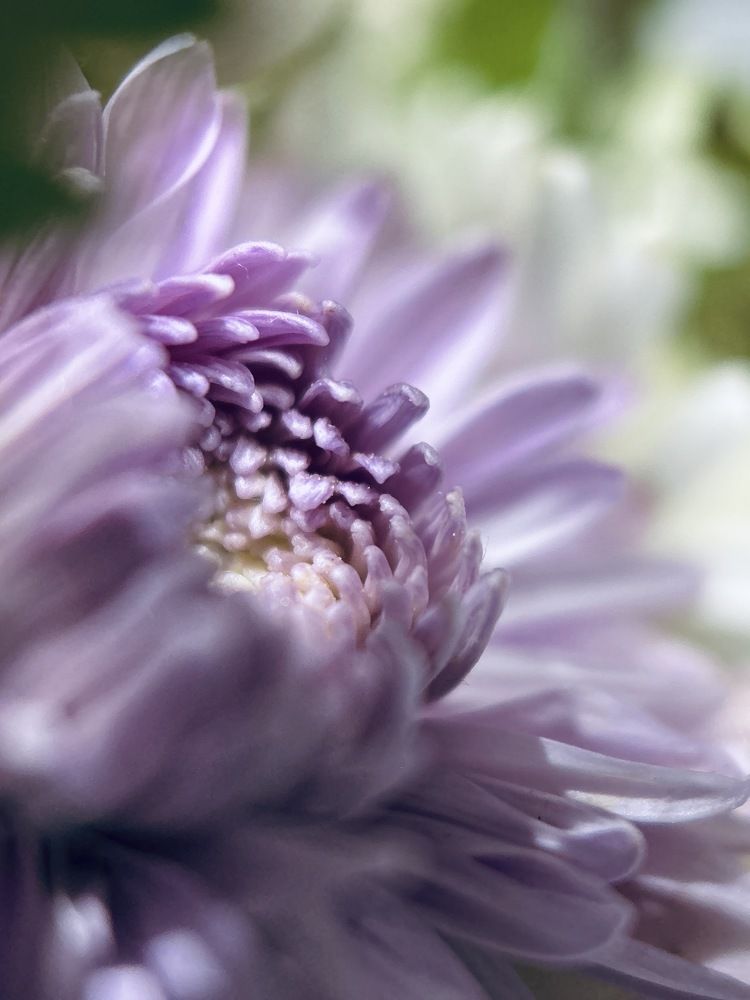 Фотография автора Tushar Bhogle