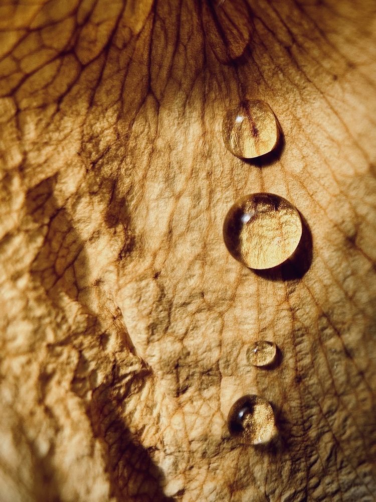 Droplets