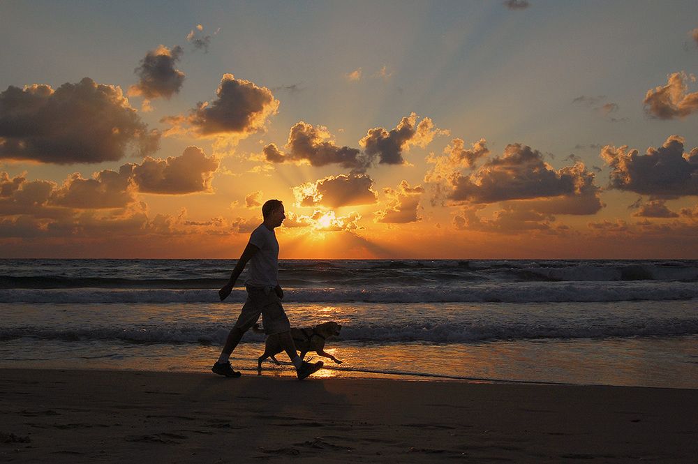 Photograph by Яков