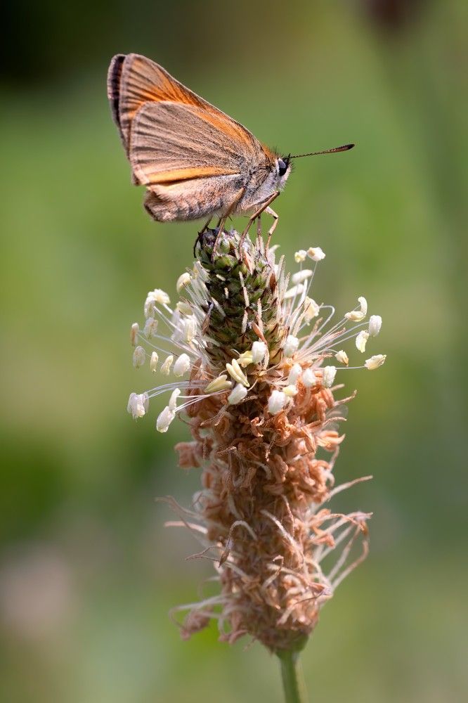 Photograph by Пономарев Илья