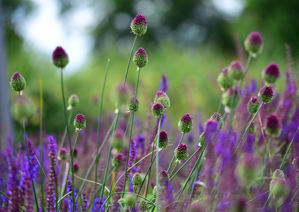 Photograph by Владислав Кравцов