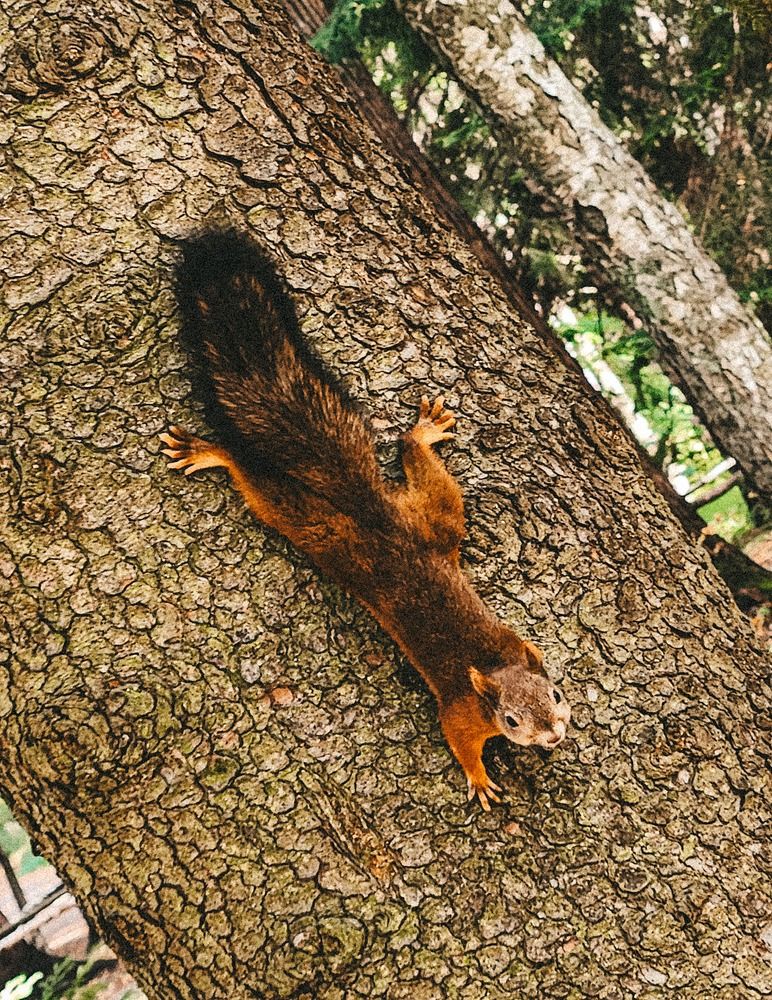 Photograph by Inna Iudina