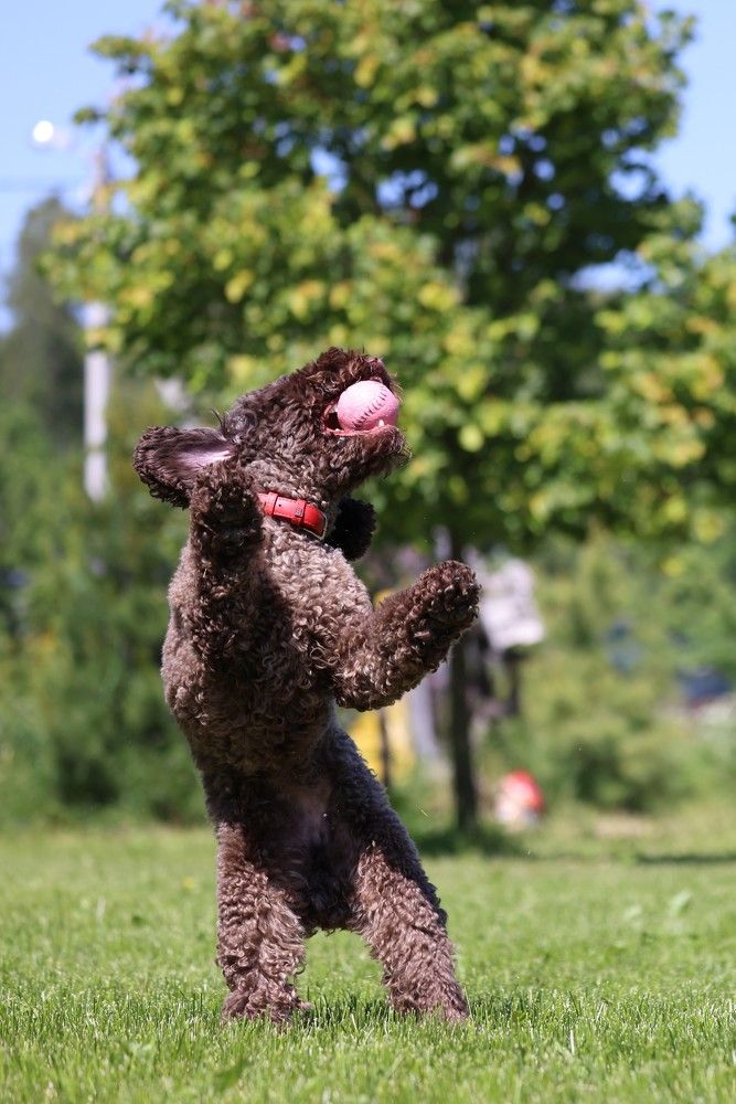 Photograph by Пономарев Илья