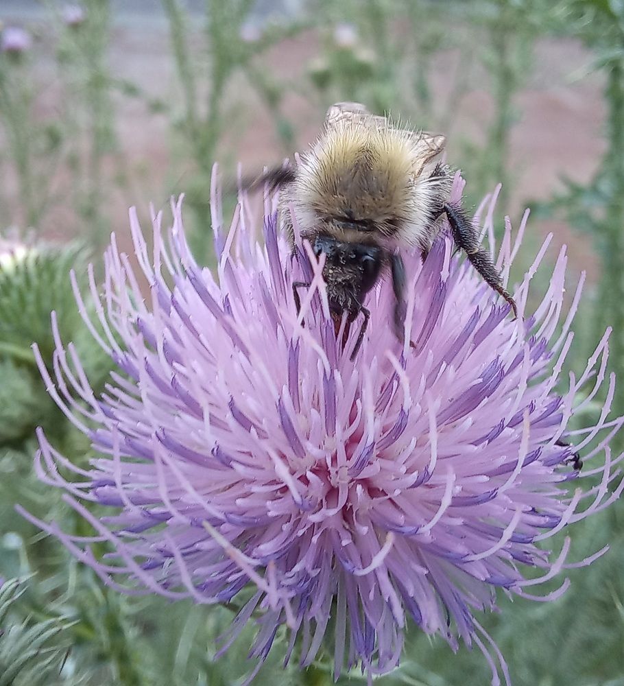 Photograph by Светлана Крон