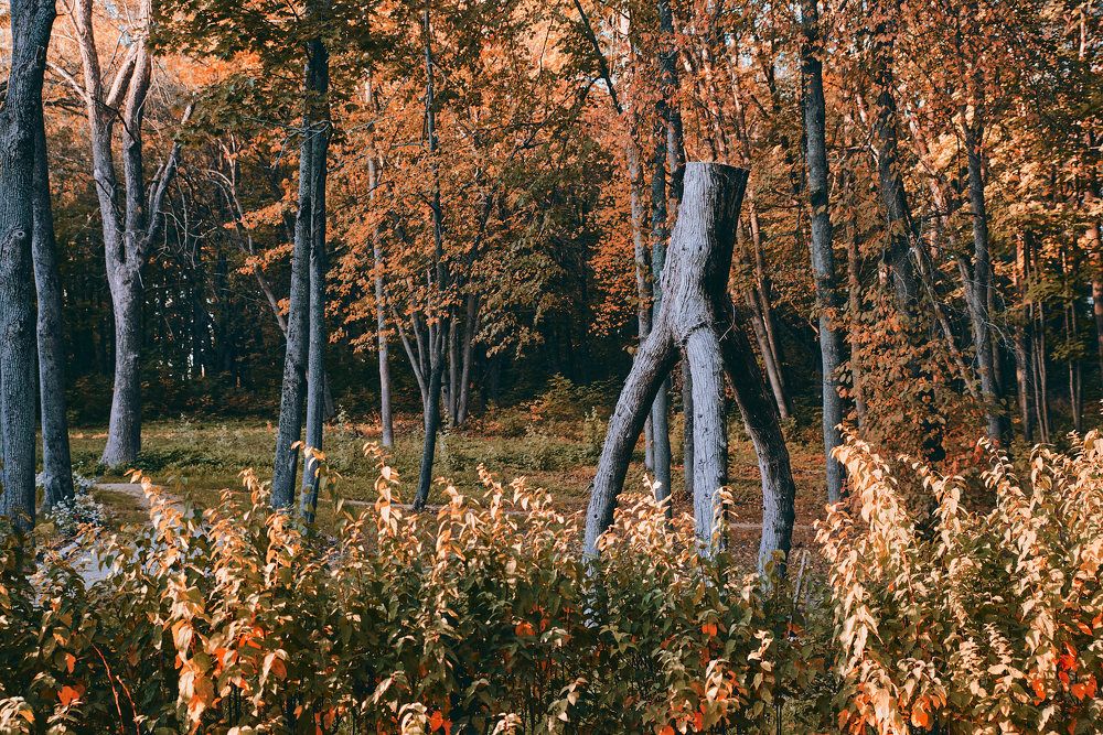 Photograph by Дмитрий Солодухин