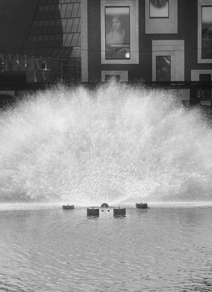 Photograph by Александр Кочергин