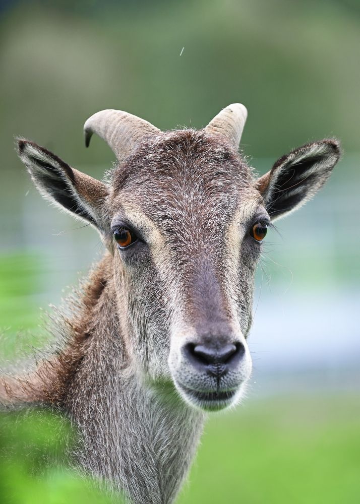 Photograph by Анна Новосельцева