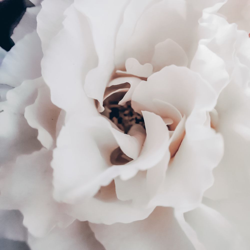 Photograph by Оксана Маракушина