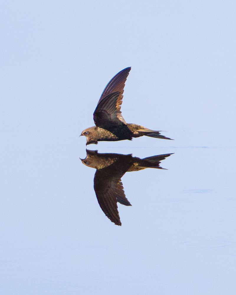 Фотография автора Богородицкий Артур