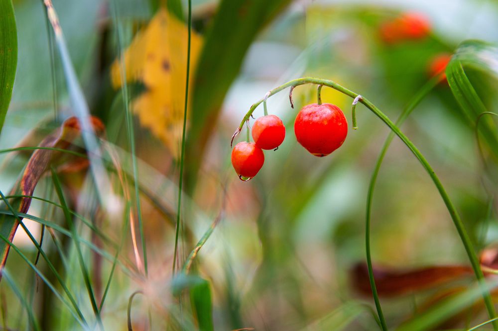 Photograph by Наталья