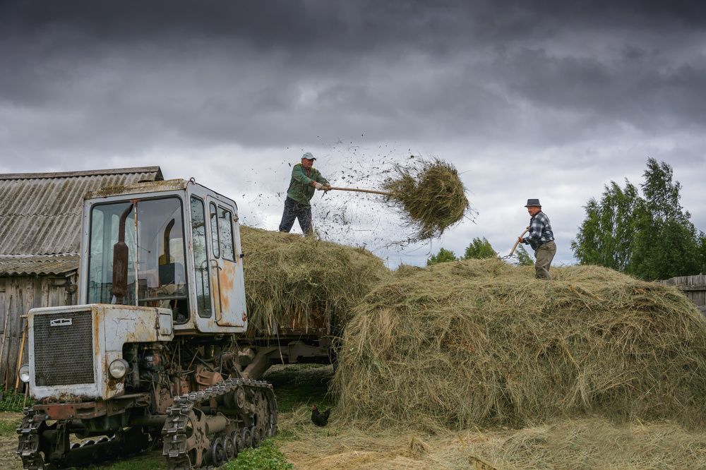 Photograph by Алексей Вольтов