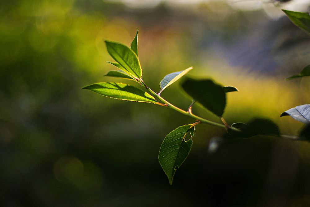 Photograph by Юлия Козельских