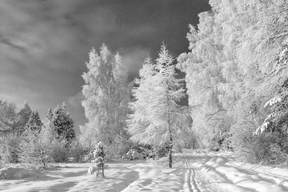 Photograph by Yury Bazhenov