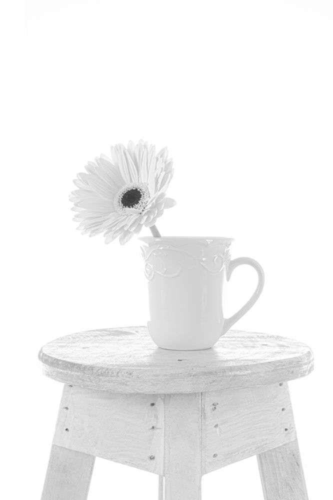 Photograph by Alejandro Letran