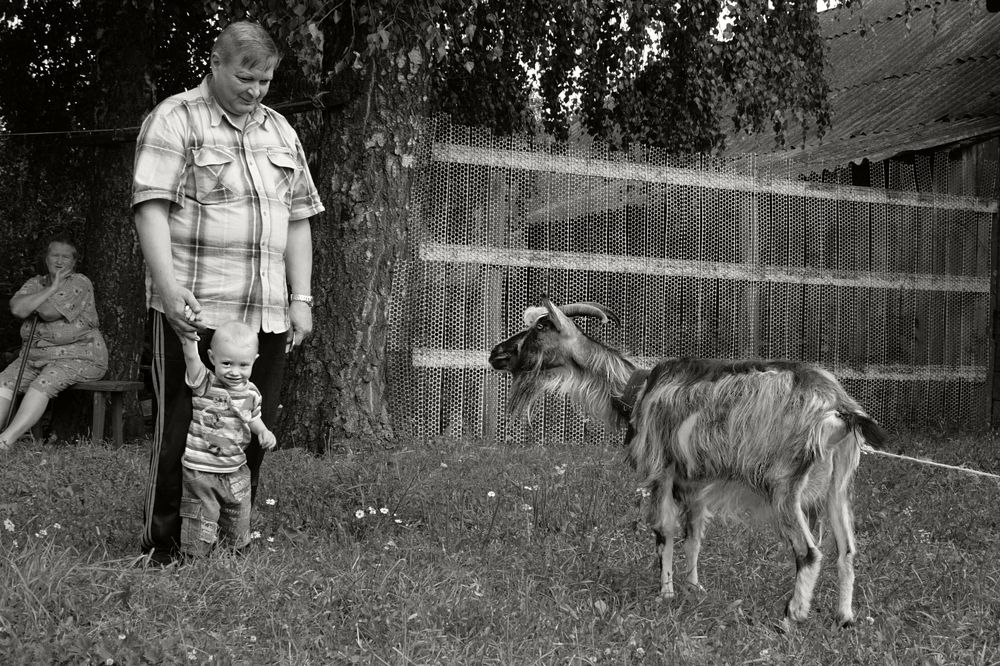 Маленький хозяин большой Фермы