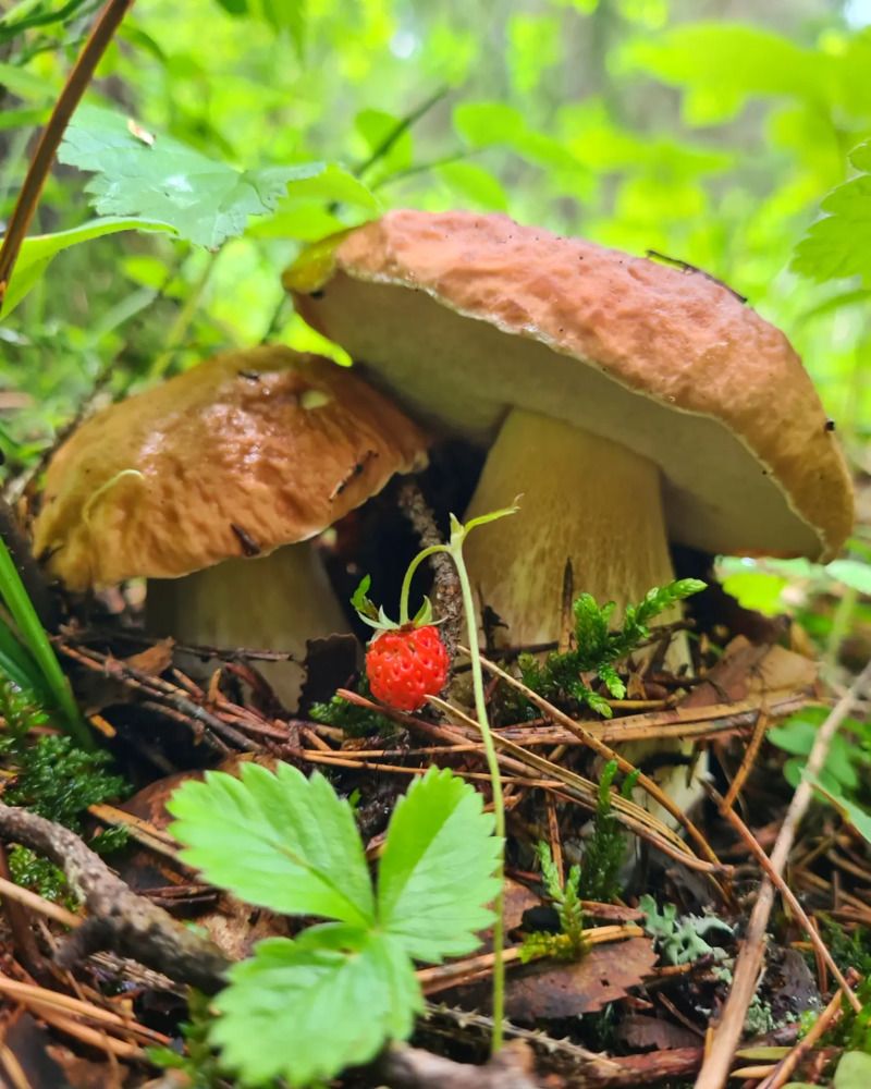 Photograph by Артём