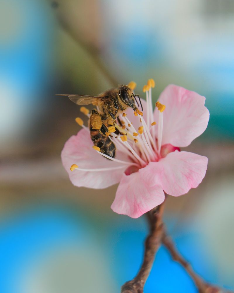 Photograph by Дина Железнова