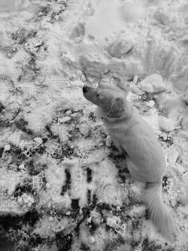 Photograph by Наталья Простова