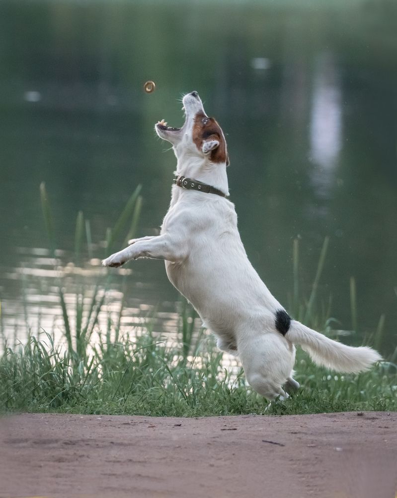 Photograph by Тамара Вотинцева