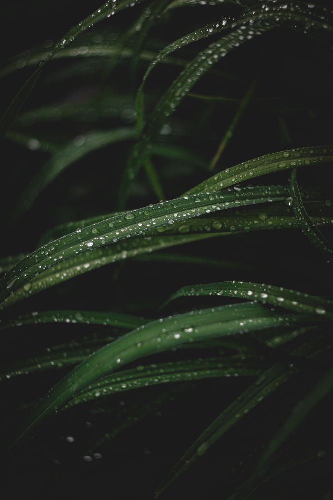 Photograph by Юлия Соболева