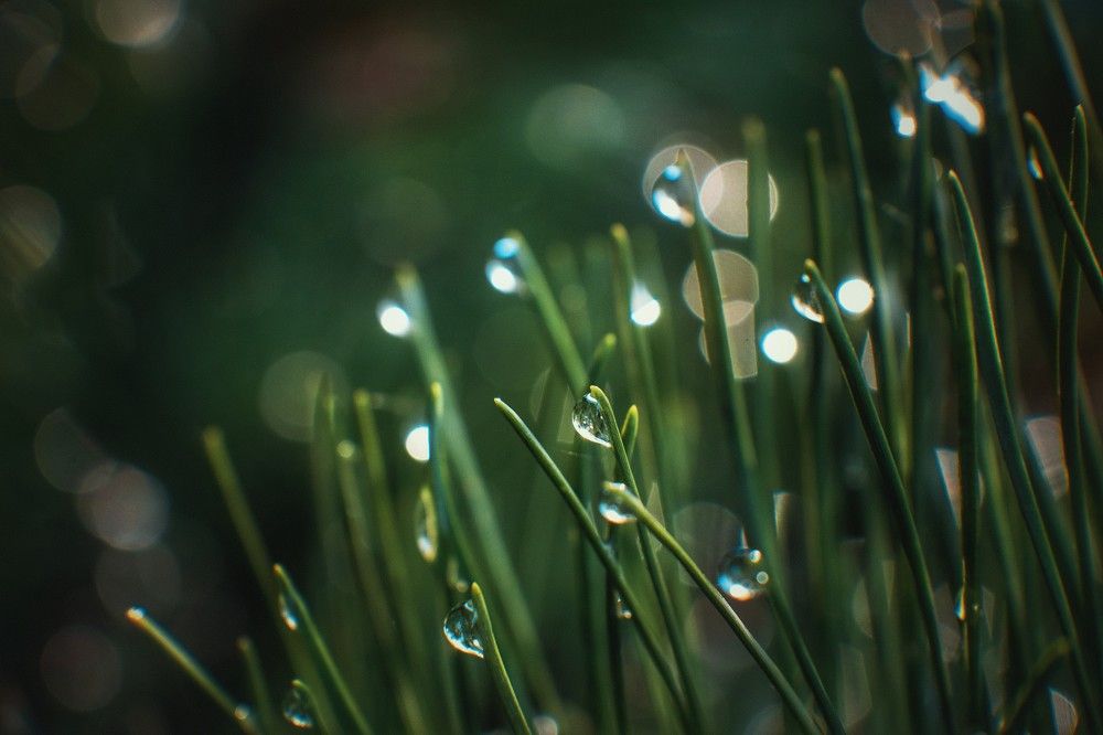 Photograph by 