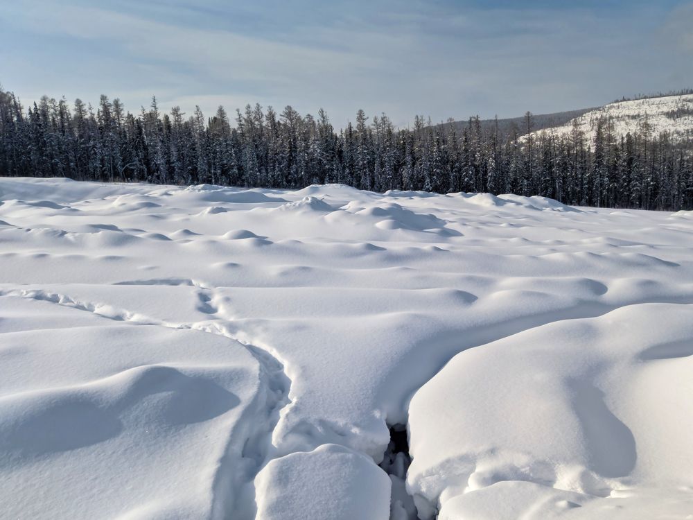 Photograph by Константин Терёхин