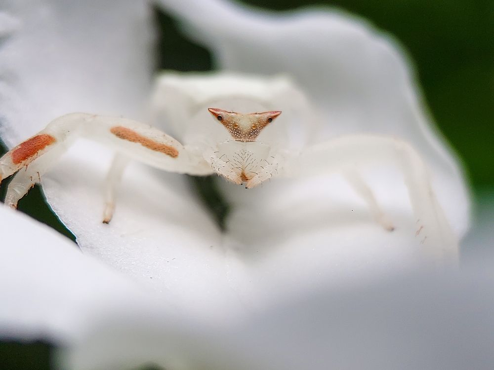 Photograph by Sumitava Chowdhury