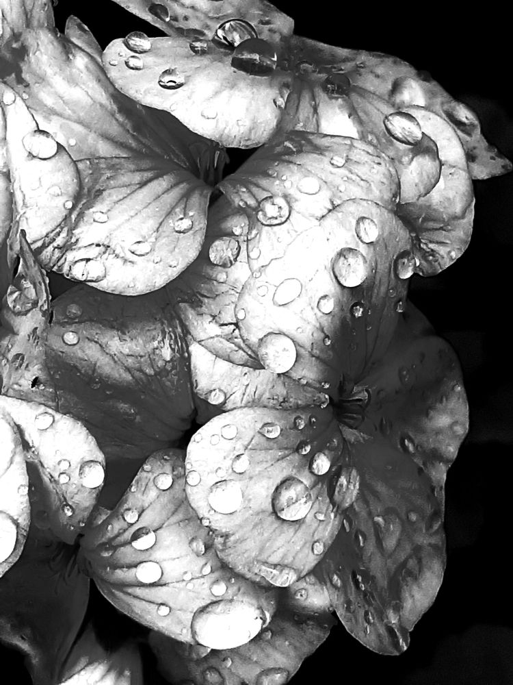 Photograph by Olga Александрова