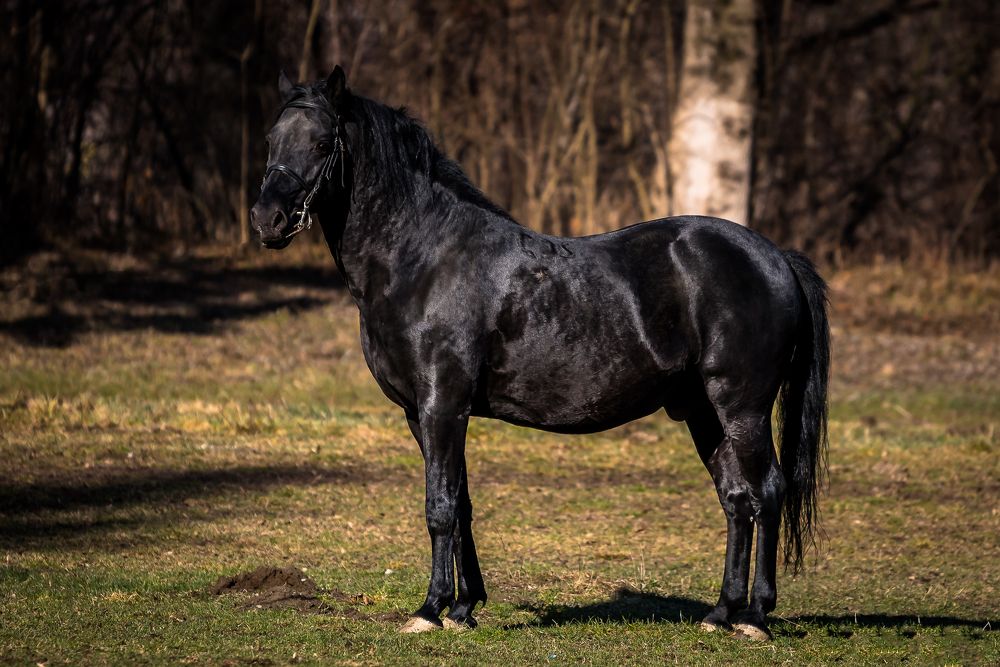 Photograph by levi bagy