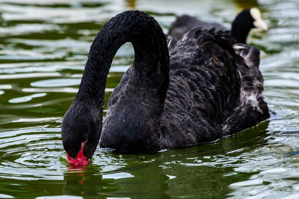 Photograph by levi bagy