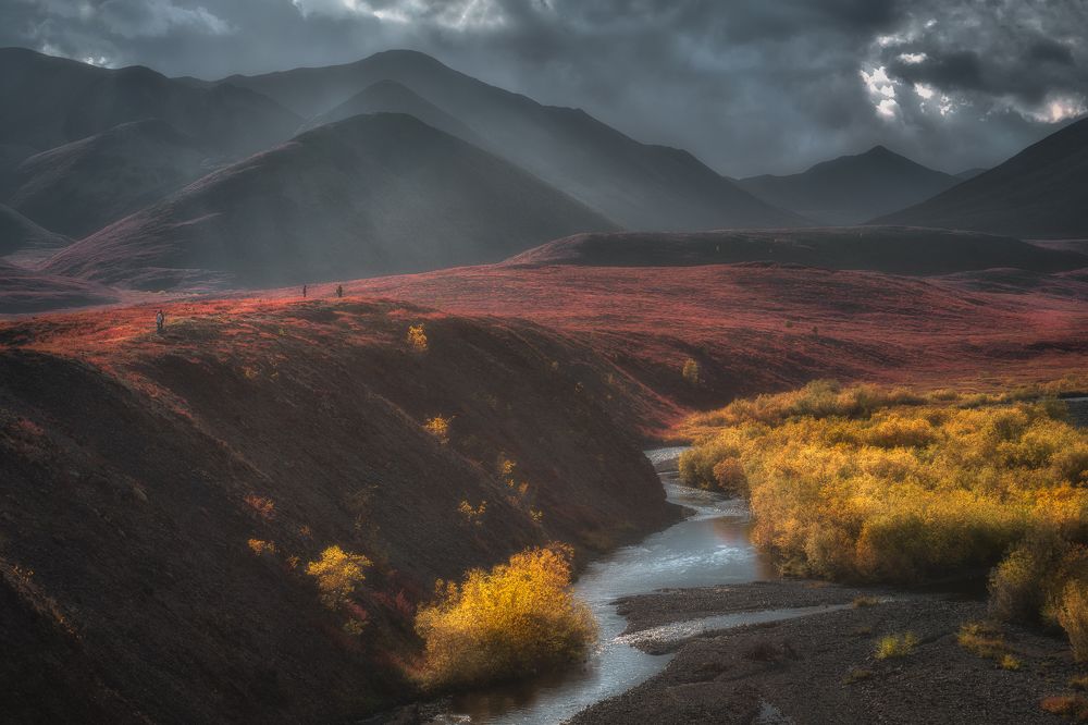 Photograph by Полякова Наталия