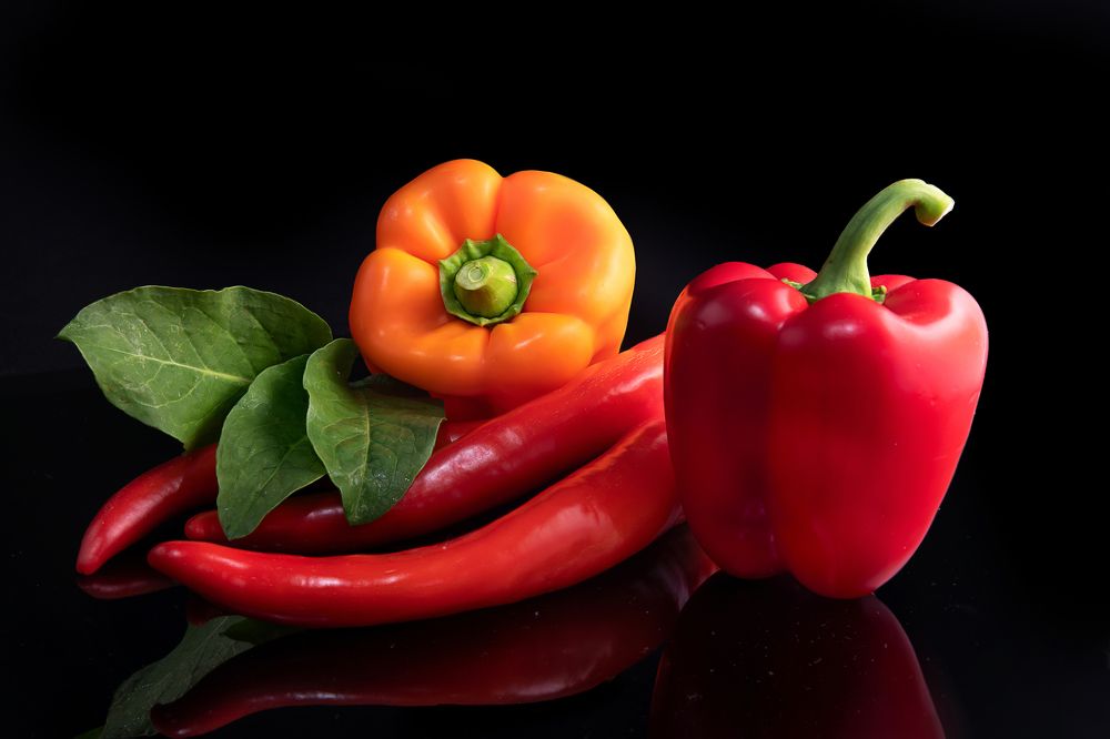 Photograph by David Lerer