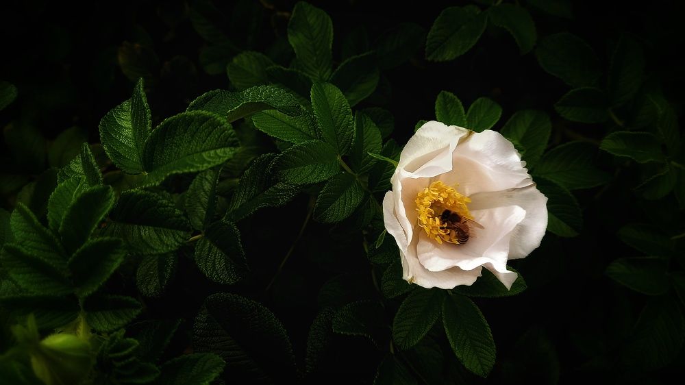 Фотография автора Евгения Зайцева