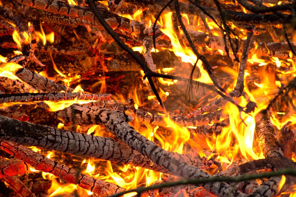 Photograph by Елена Кошелева