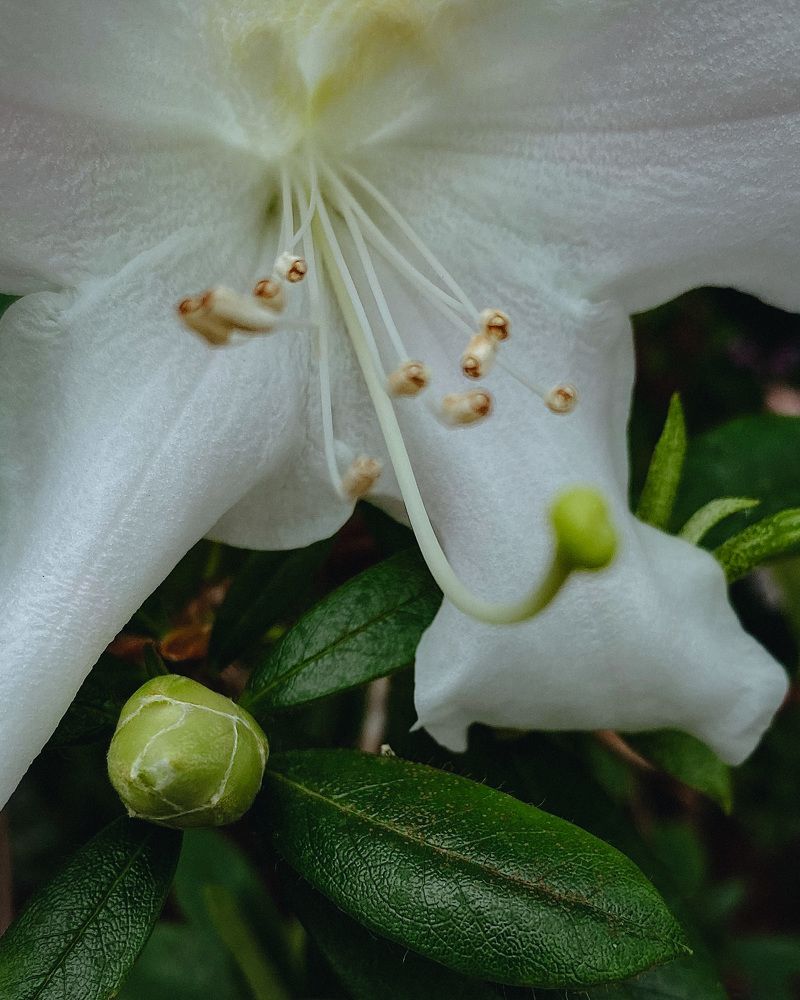 Photograph by Svetlana