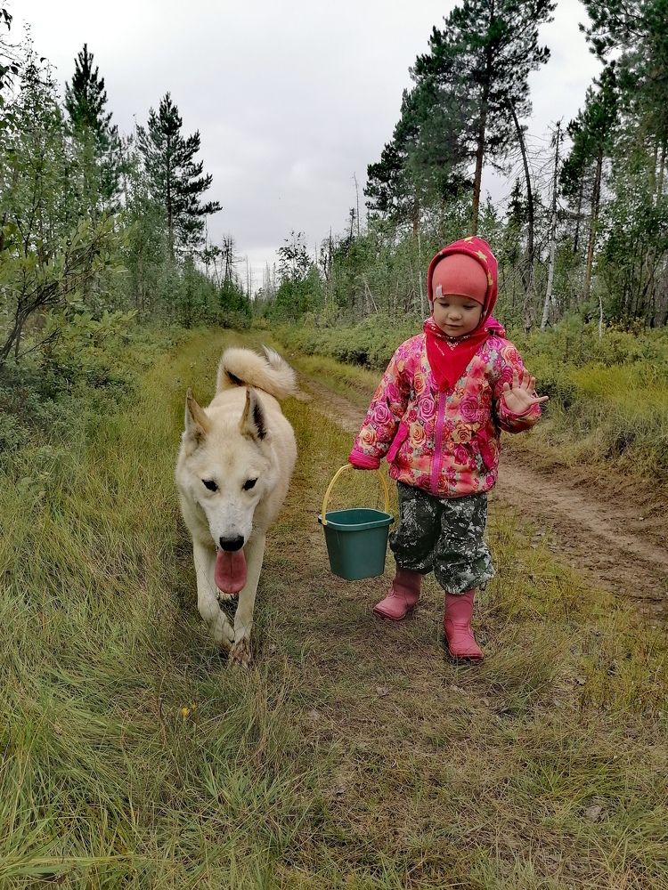 Photograph by Татьяна Бешенкина