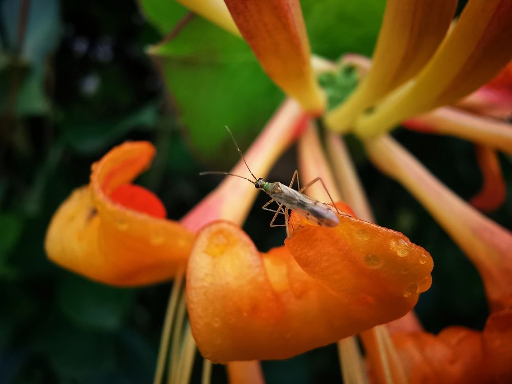 Photograph by Колоскова Мария