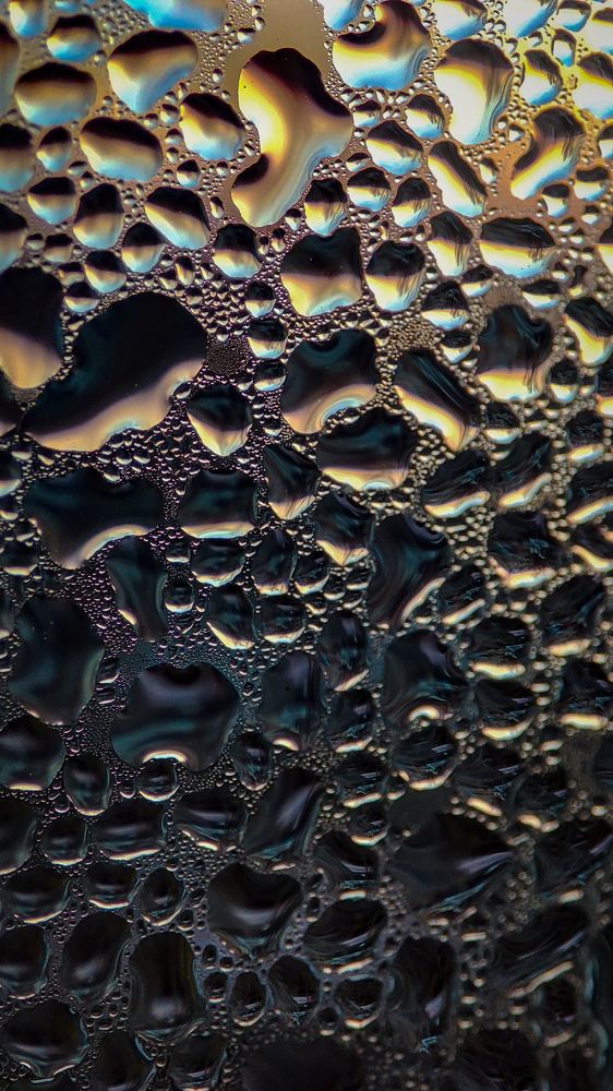 Фотография автора Анастасия Мамаева