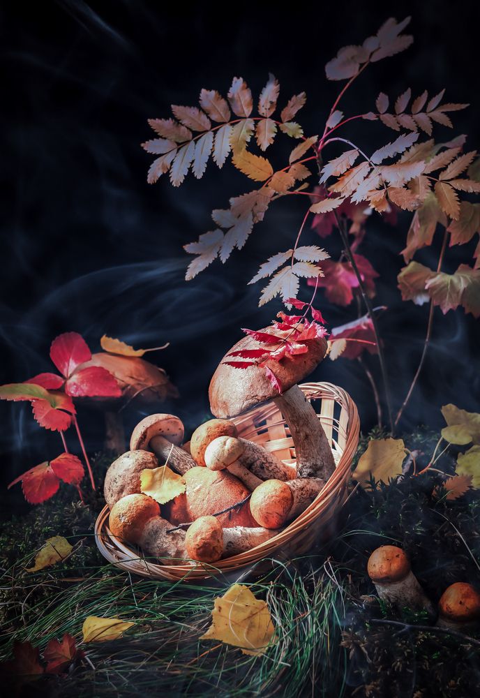 Photograph by Юлия Яремко