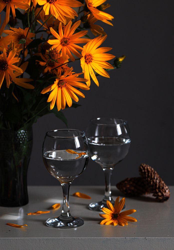 Фотография автора Елена Разина