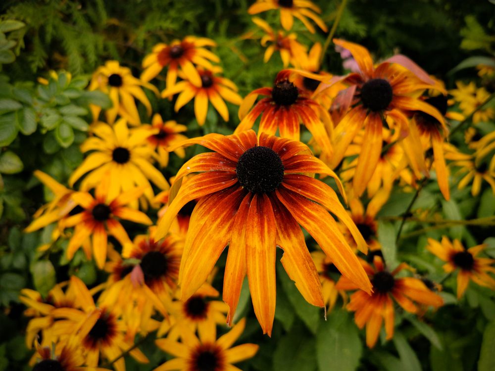 Photograph by Колоскова Мария