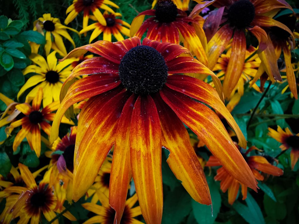 Photograph by Колоскова Мария