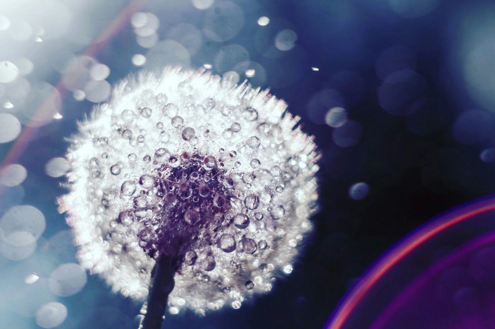 Photograph by Юлия Яремко