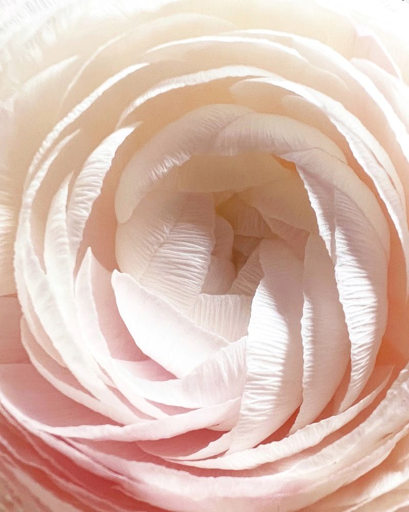 Photograph by Татьяна Волохова