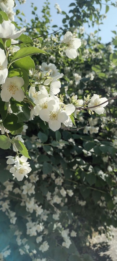 Photograph by Anastasia Kodatenko