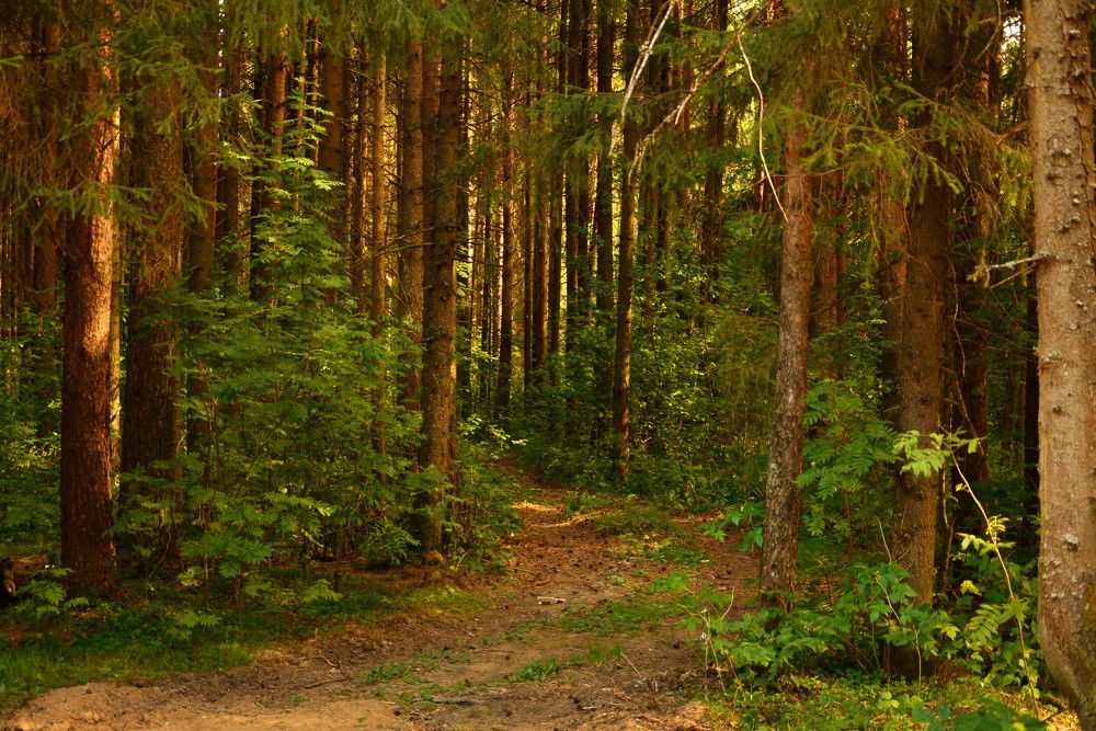 Photograph by Ruslan Sevastyanov